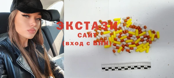 индика Михайловск