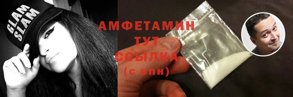 индика Михайловск