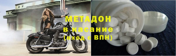 прущие грибы Михайловка