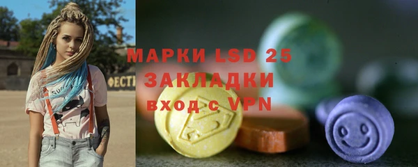 прущие грибы Михайловка