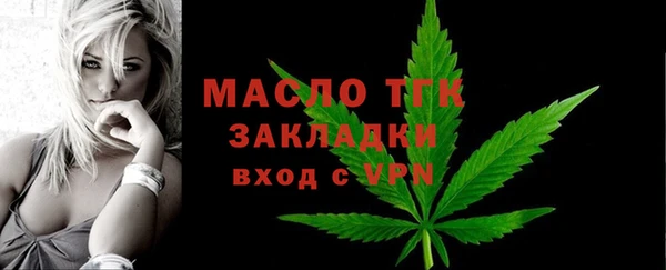 индика Михайловск