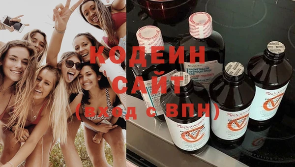 прущие грибы Михайловка