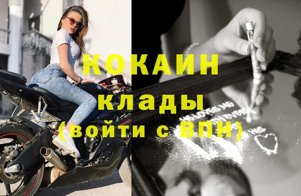 прущие грибы Михайловка