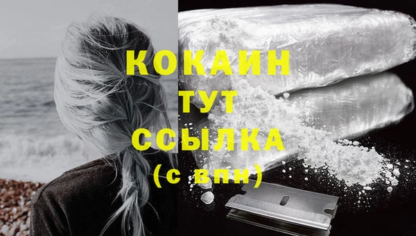 индика Михайловск