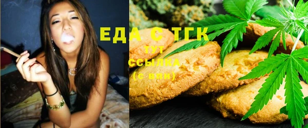 индика Михайловск