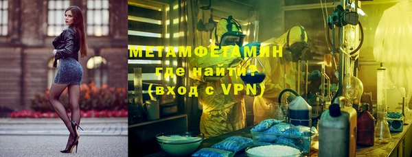 индика Михайловск