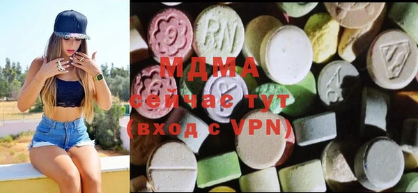 индика Михайловск