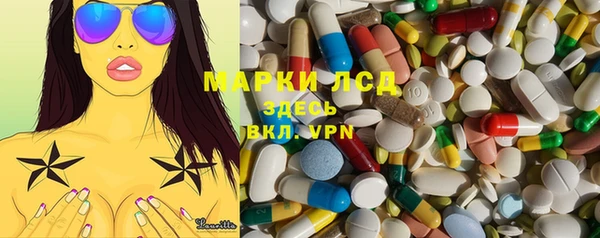 прущие грибы Михайловка