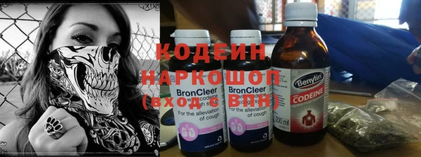 индика Михайловск