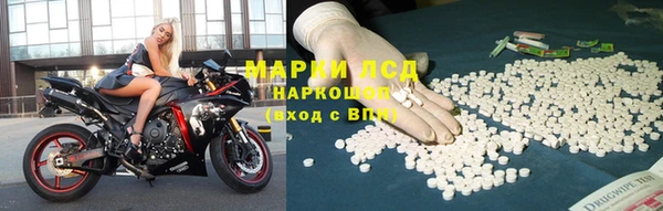 индика Михайловск