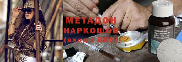 прущие грибы Михайловка